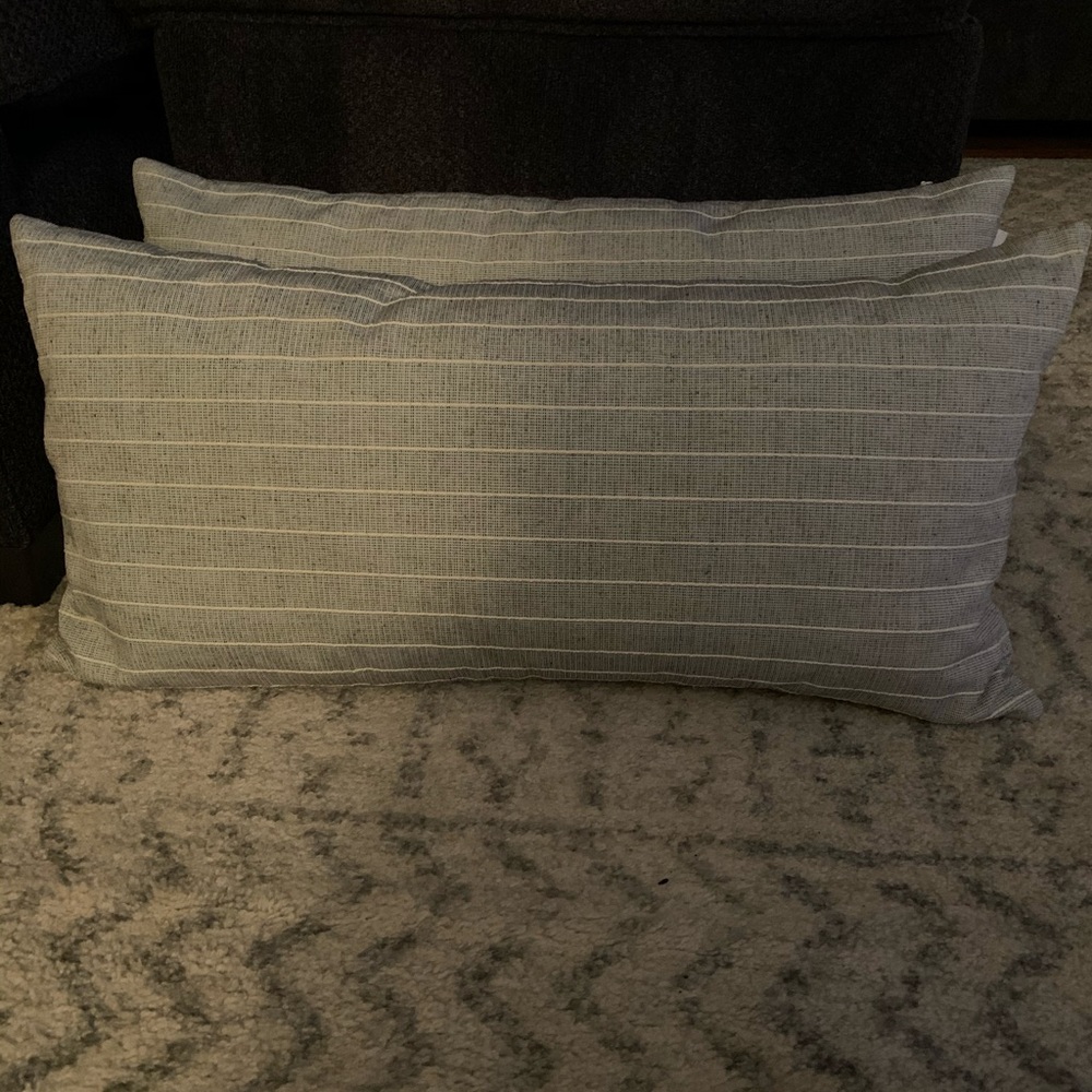 Two Calvin Klein pillows